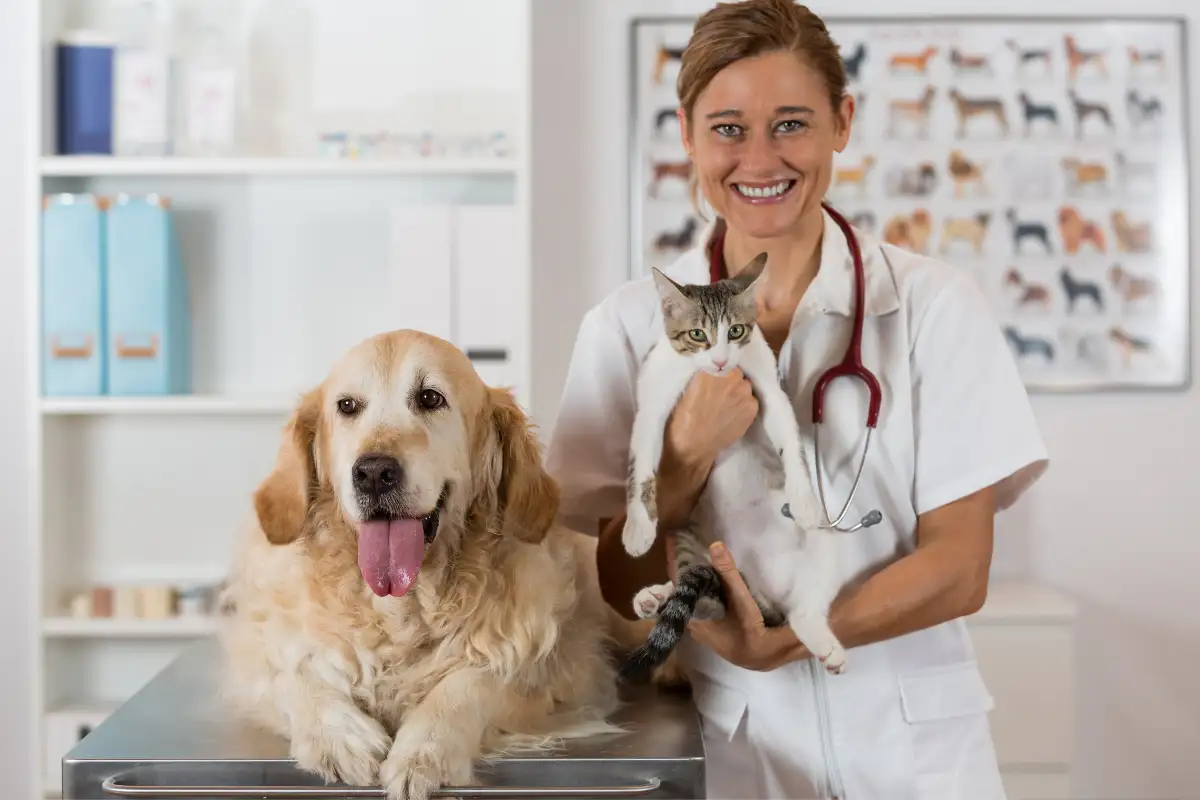 Ambulatorio veterinario specialistico a Milano: il metodo del Dottor Valentini Nicolò per gestire i casi complessi