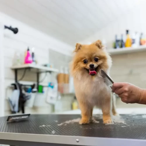 Stripping professionale a Rende: guida essenziale al lavoro a mano