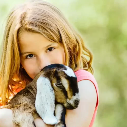 Pet therapy a Montescudaio: guida pratica per famiglie ed educatori
