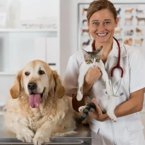 Ambulatorio veterinario specialistico a Milano: il metodo del Dottor Valentini Nicolò per gestire i casi complessi