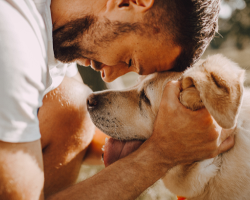 Una seconda casa per il tuo amico a quattro zampe: scopri l’asilo diurno per cani a Milano Sud