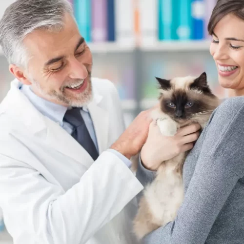 Assistenza veterinaria a Roma Portuense: guida pratica all’Ambulatorio Veterinario New Vet